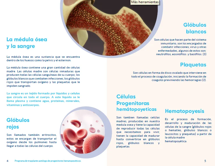 Diferencia entre hematología y oncología