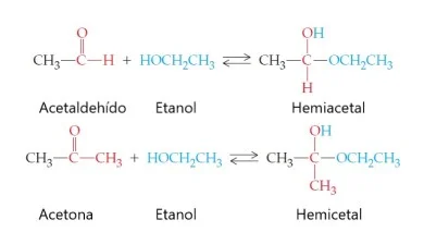 Diferencia entre hemiacetal y hemicetal