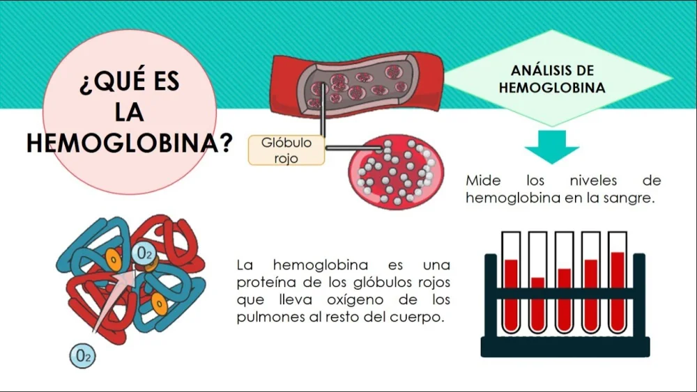 Diferencia entre hemoglobina y hematocrito