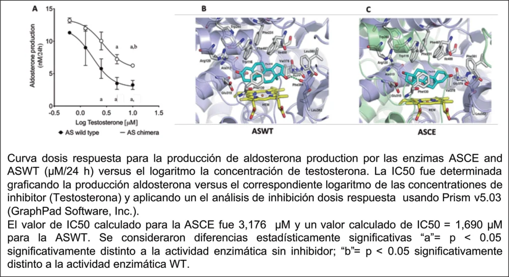 Diferencia entre la aldosterona y la testosterona
