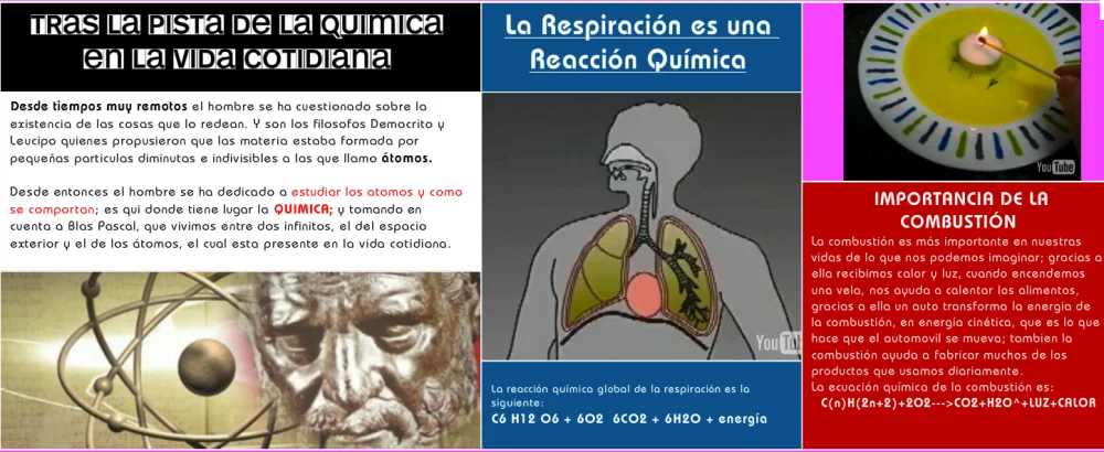 Diferencia entre la respiración y la combustión