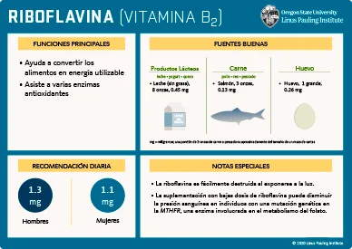 Diferencia entre la riboflavina y la riboflavina 5 fosfato
