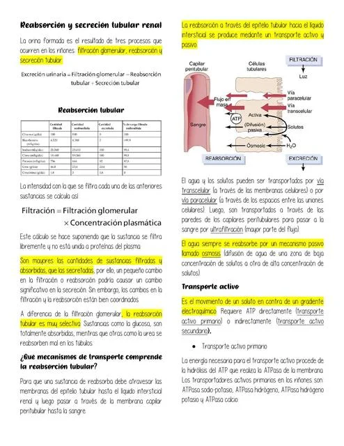 Diferencia entre secreción tubular y reabsorción