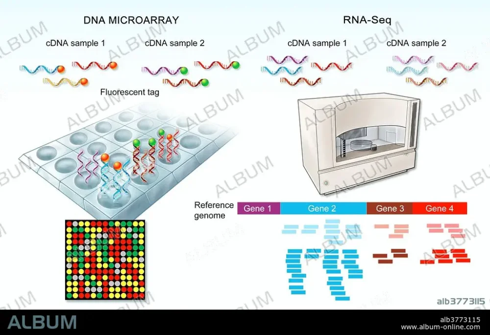 Diferencia entre secuenciación de ARN y microarray