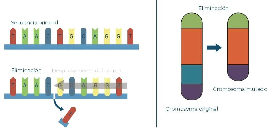 Diferencia entre secuencias originales y mutadas
