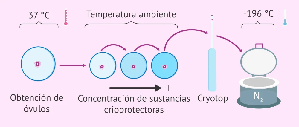 Diferencia entre vitrificación y criopreservación