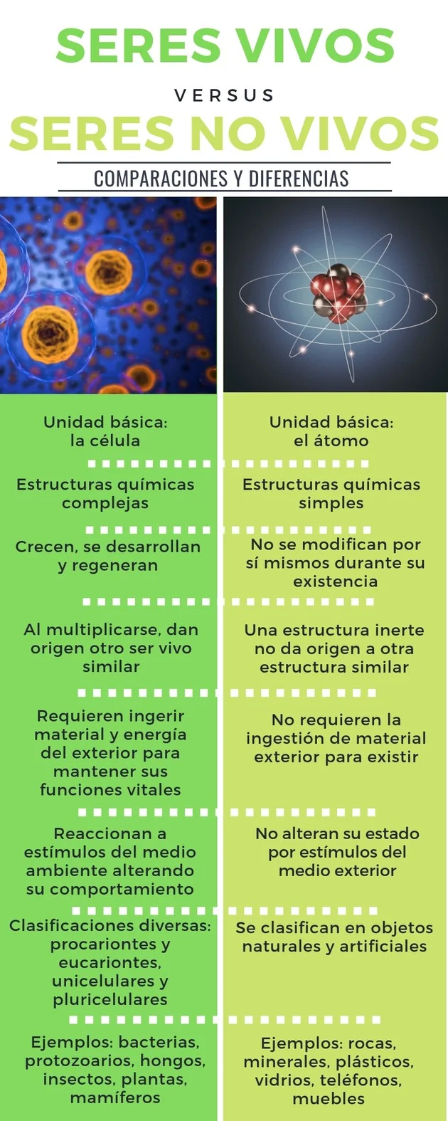 Diferencia entre vivo y vivo