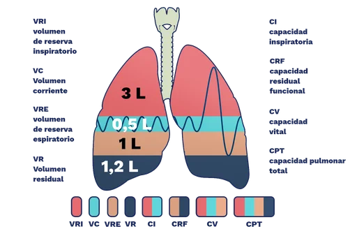 Diferencia entre volumen pulmonar y capacidad pulmonar