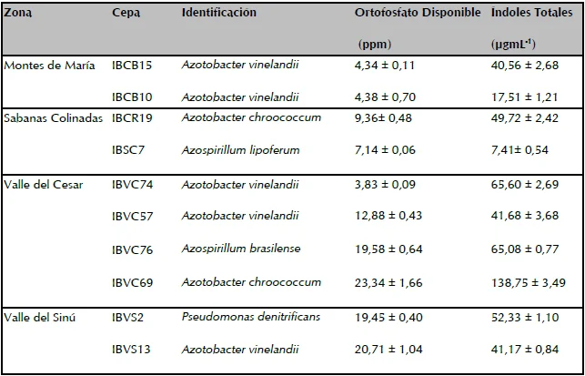 Diferencia entre Azospirillum y Azotobacter