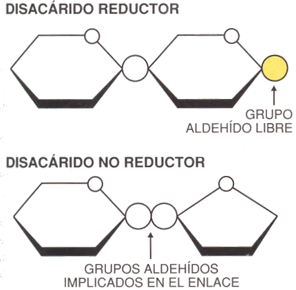 Diferencia entre azúcar reductor y no reductor