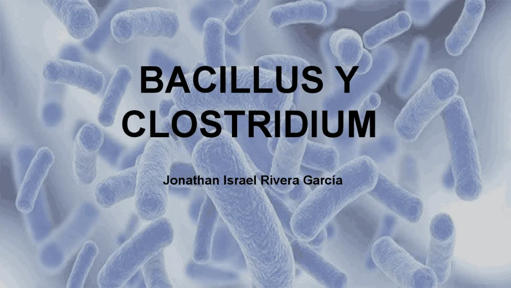 Diferencia entre Bacillus y Clostridium