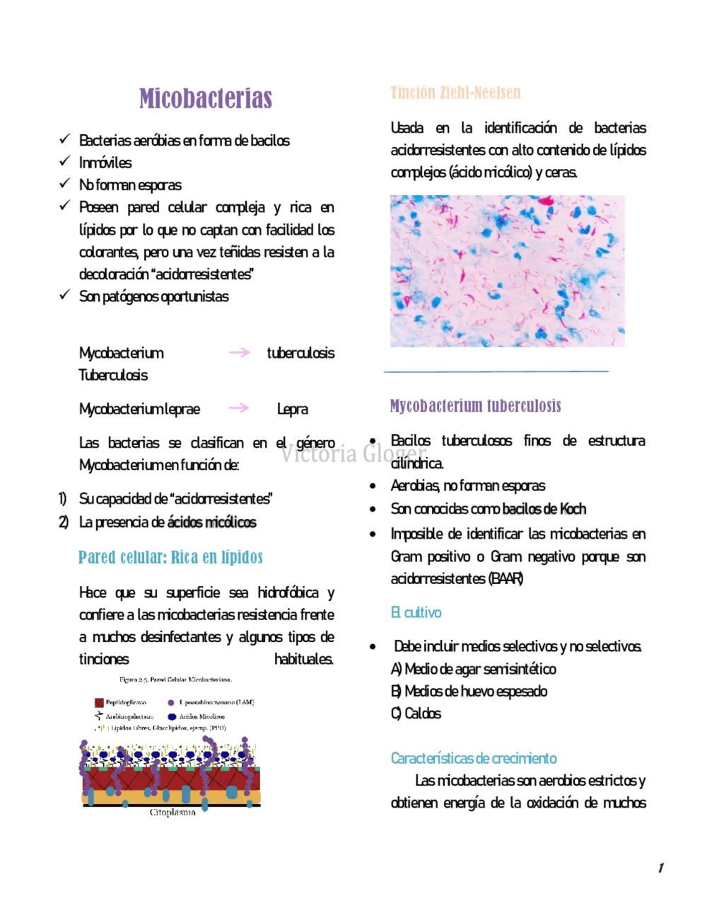 Diferencia entre bacterias acidorresistentes y no acidorresistentes