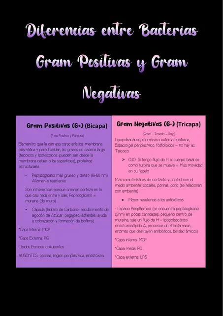 Diferencia entre bacterias grampositivas y gramnegativas