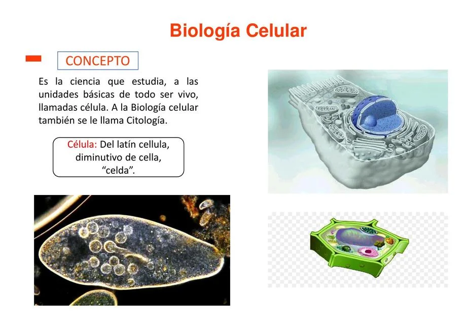 Diferencia entre citología y biología celular
