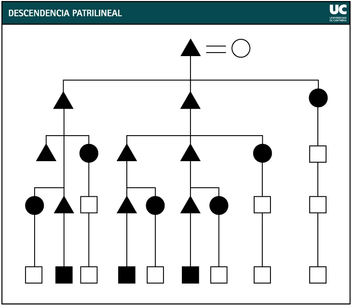 Diferencia entre descendencia unilineal y cognática