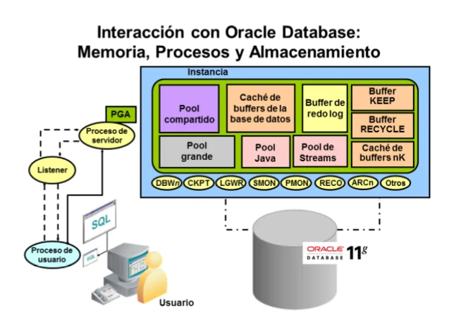 Diferencia entre deshacer y rehacer en Oracle