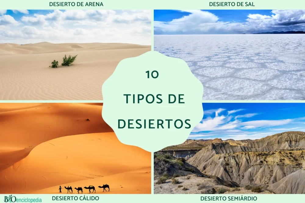 Diferencia entre desierto caliente y desierto frío