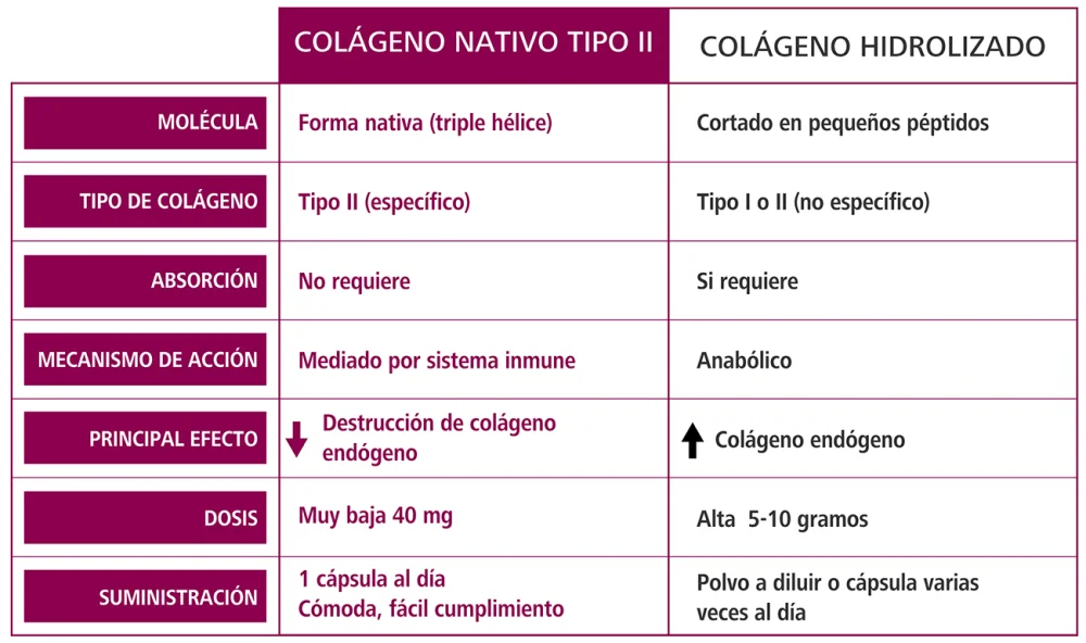 Diferencia entre el colágeno 1 2 y 3