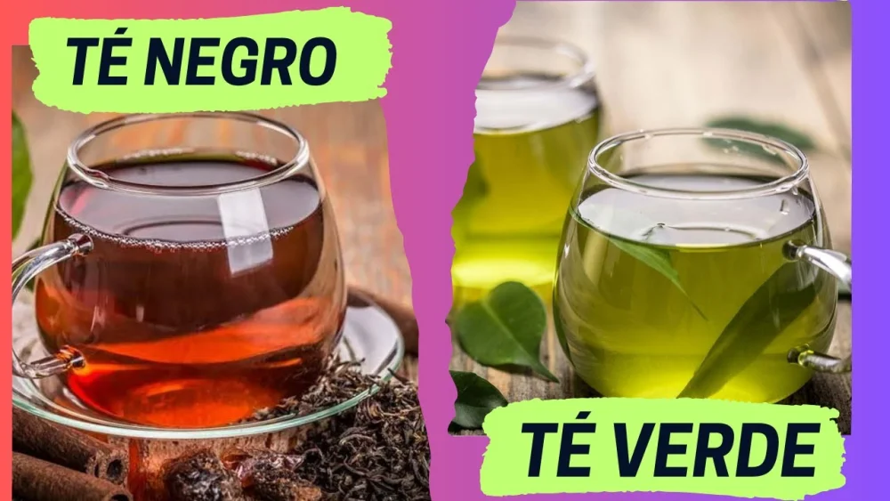 Diferencia entre el té verde y el té negro