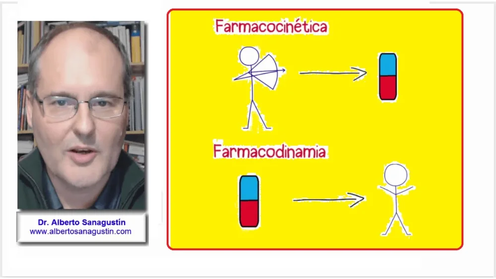 Diferencia entre farmacocinética y farmacodinamia