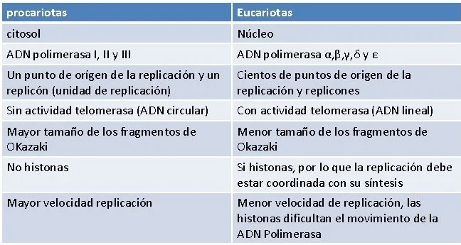 Diferencia entre la ARN polimerasa procariota y eucariota