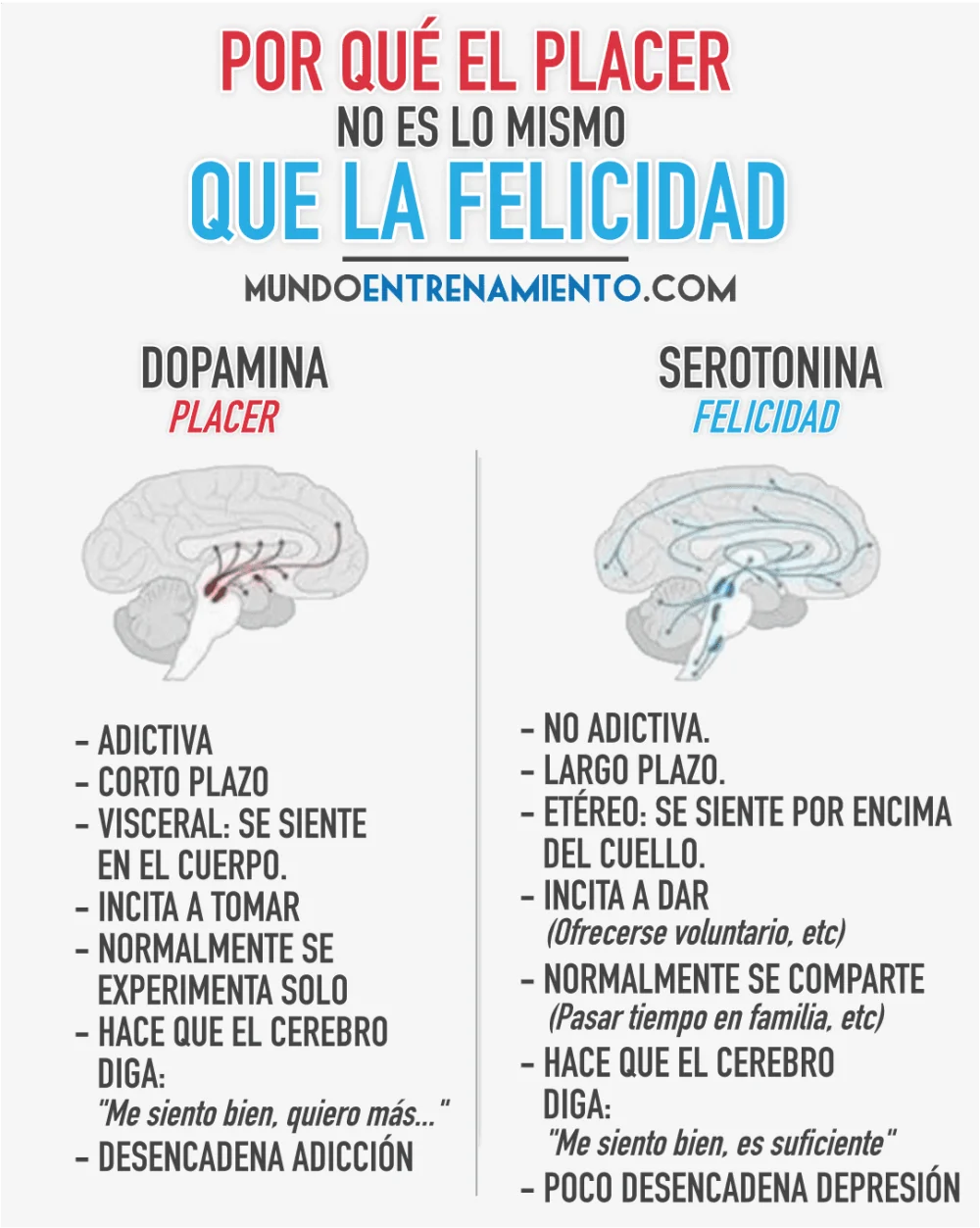 Diferencia entre la serotonina y la dopamina