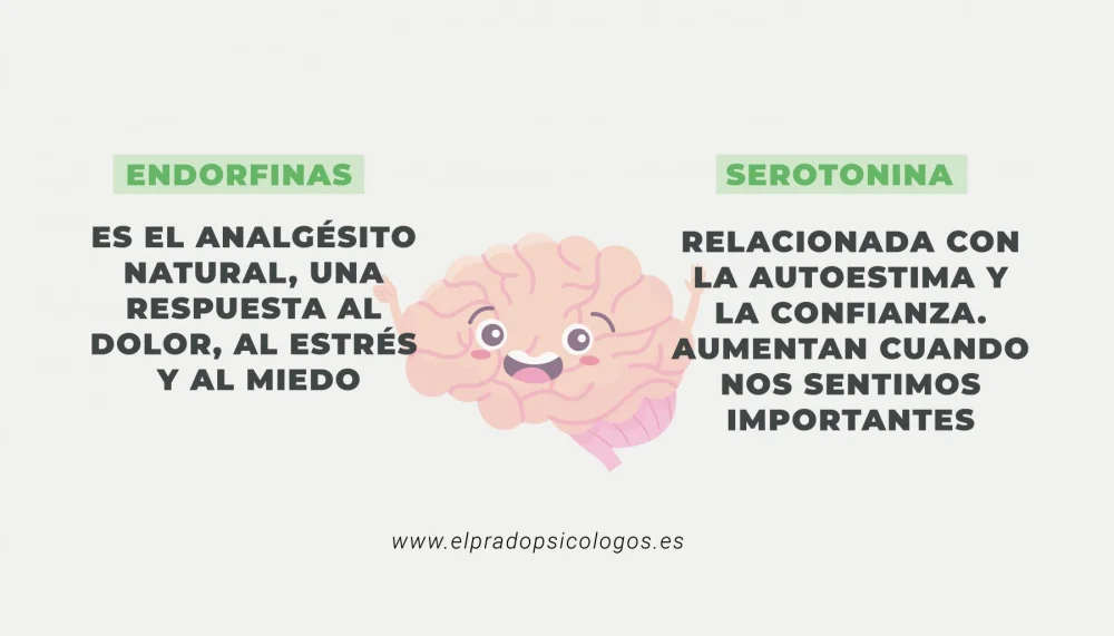 Diferencia entre la serotonina y las endorfinas