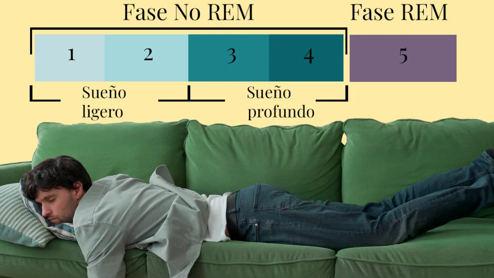 Diferencia entre la siesta y el sueño