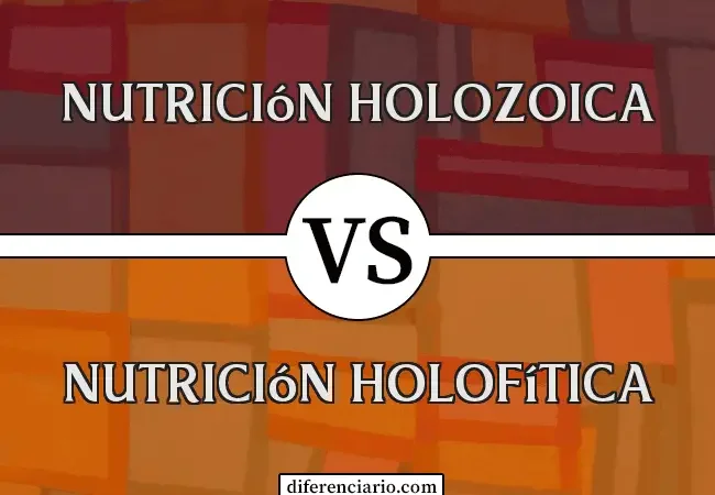 Diferencia entre nutrición holozoica y holofítica