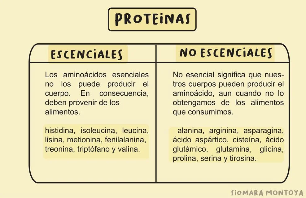 Diferencia entre nutrientes esenciales y no esenciales
