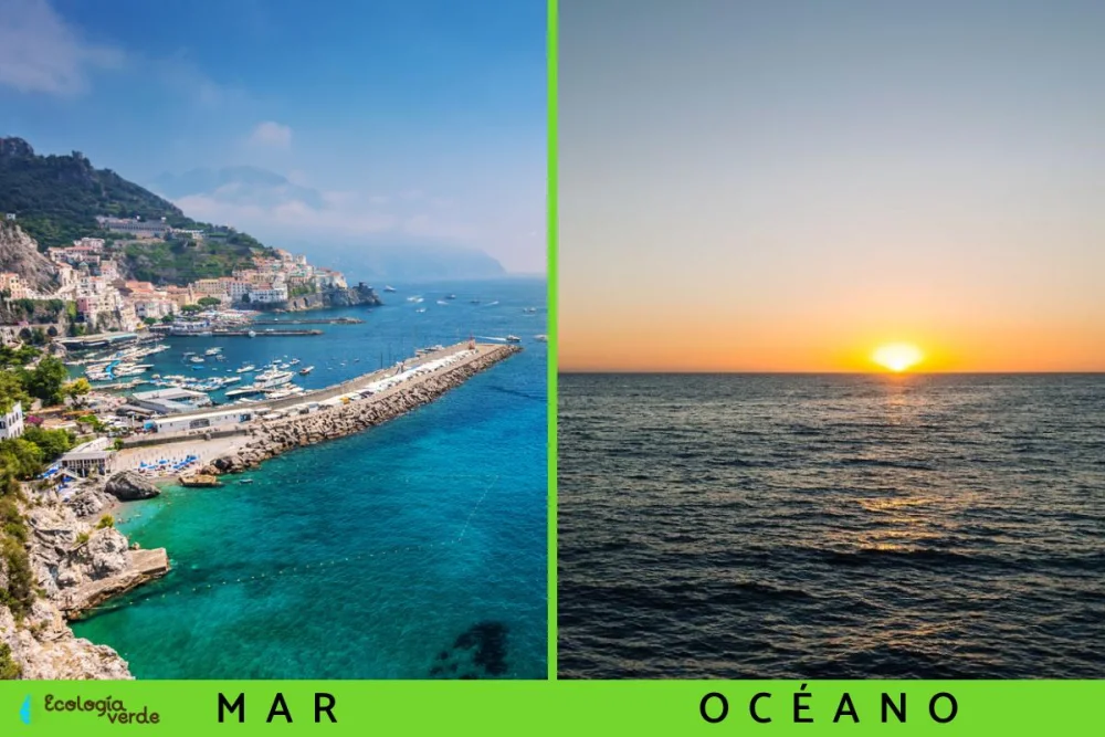 Diferencia entre océano y mar