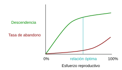 Diferencia entre semelparidad e iteroparidad
