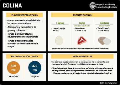 Diferencia entre serina y colina