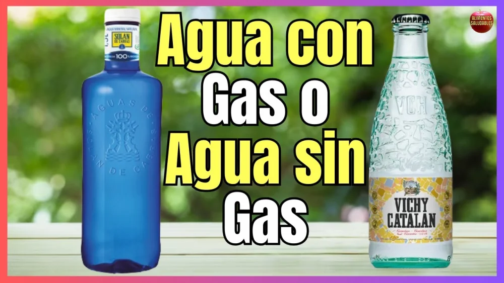 Diferencia entre agua con gas y agua con gas Estilo de vida