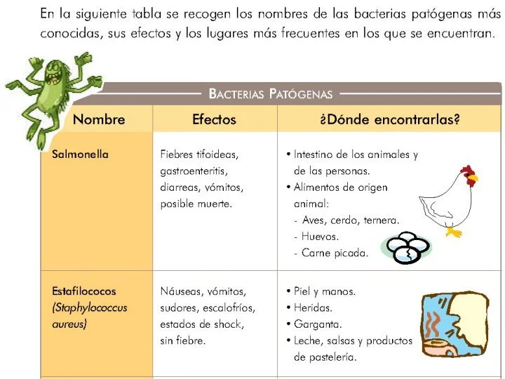 Diferencia entre bacterias patógenas y no patógenas