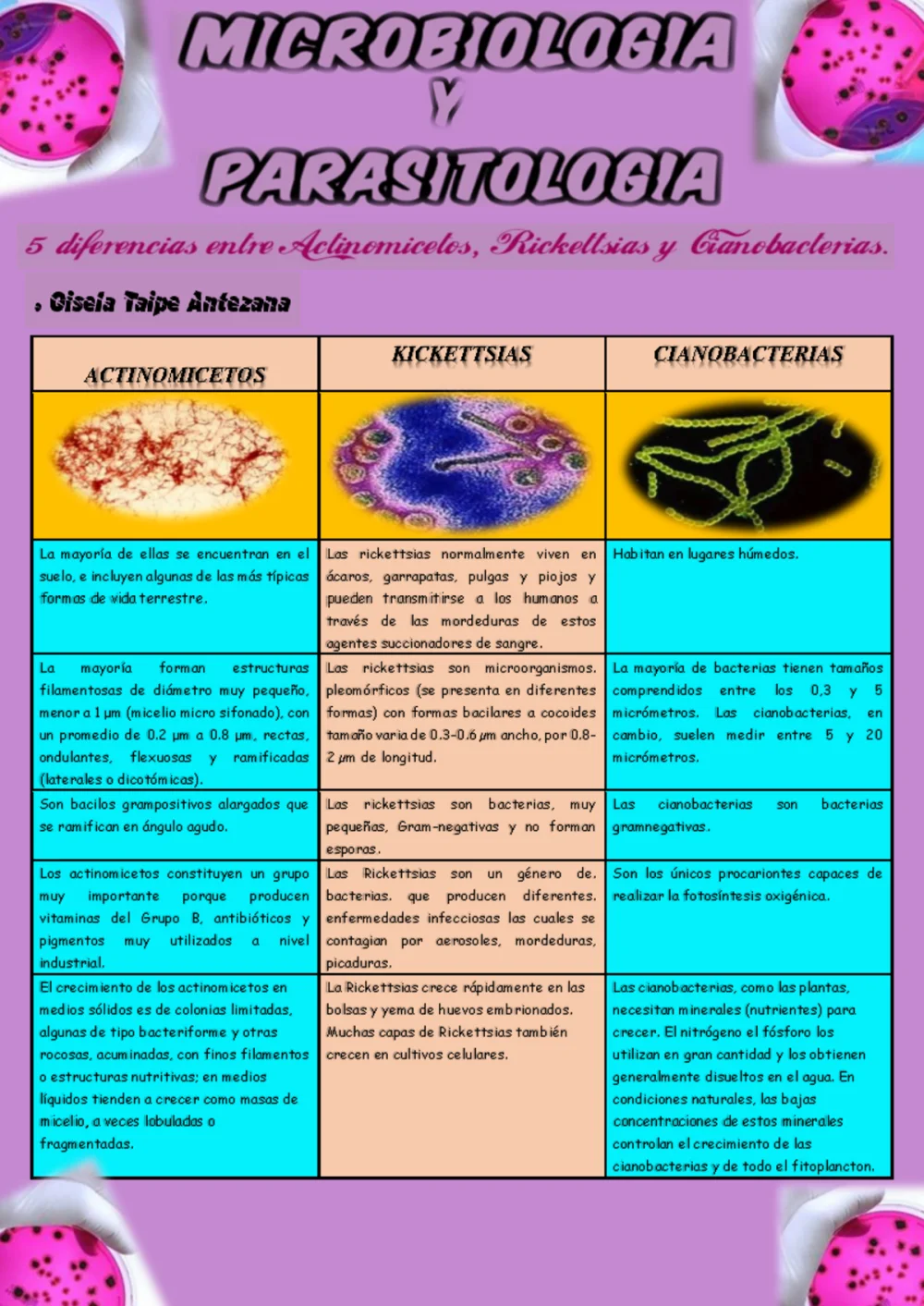 Diferencia entre bacterias y cianobacterias