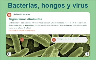 Diferencia entre bacterias y hongos