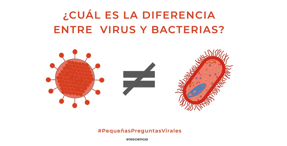 Diferencia entre bacterias y virus