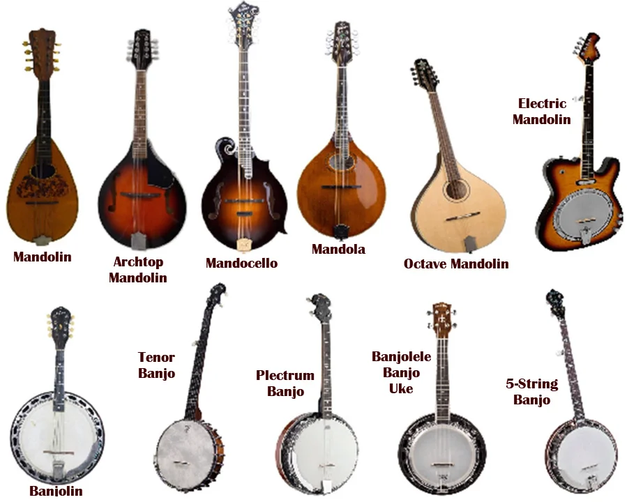 Diferencia entre banjo y mandolina