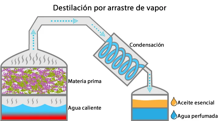 Diferencia entre destilación y extracción