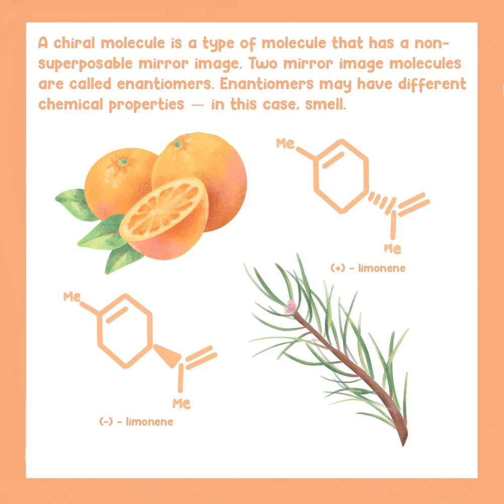 Diferencia entre el D-limoneno y el aceite de naranja