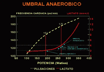 Diferencia entre el umbral de lactato y el umbral anaeróbico