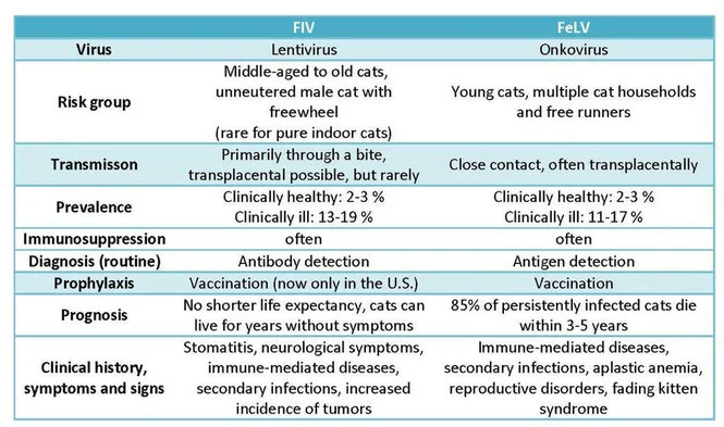 Diferencia entre FeLV y FIV