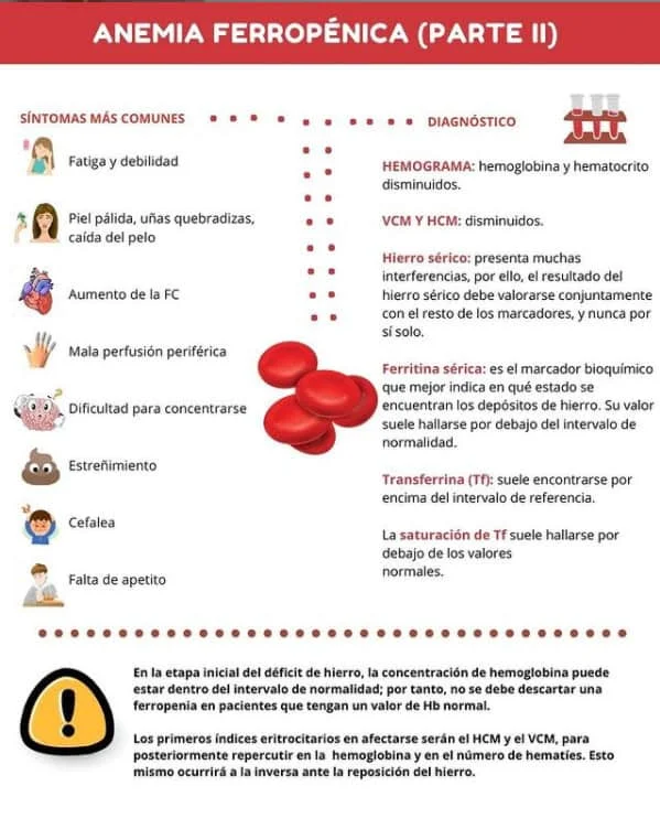 Diferencia entre ferritina y hemoglobina