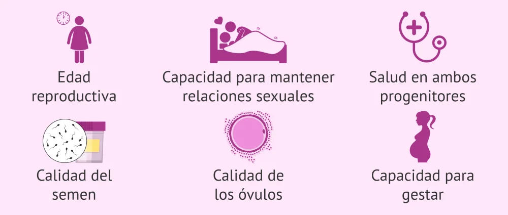 Diferencia entre fertilidad y fecundidad