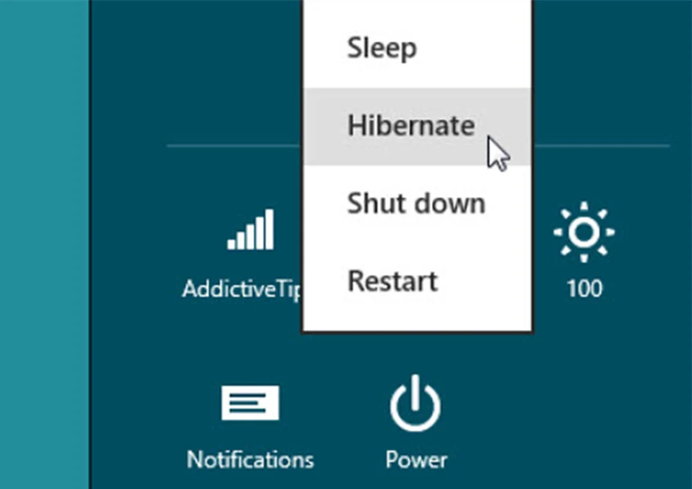 Diferencia entre hibernar y dormir
