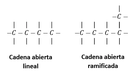 Diferencia entre hidrocarburos de cadena lineal y ramificada