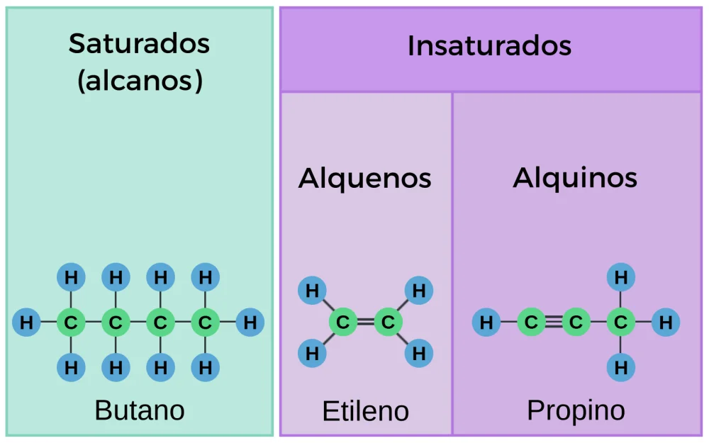 Diferencia entre hidrocarburos saturados e insaturados