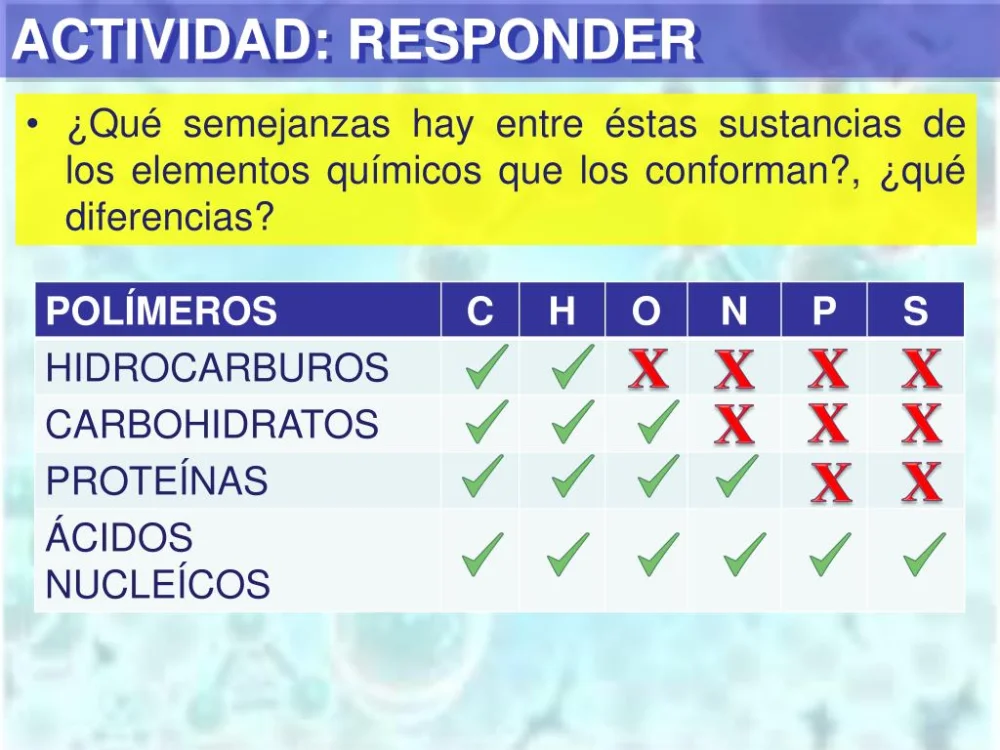 Diferencia entre hidrocarburos y carbohidratos