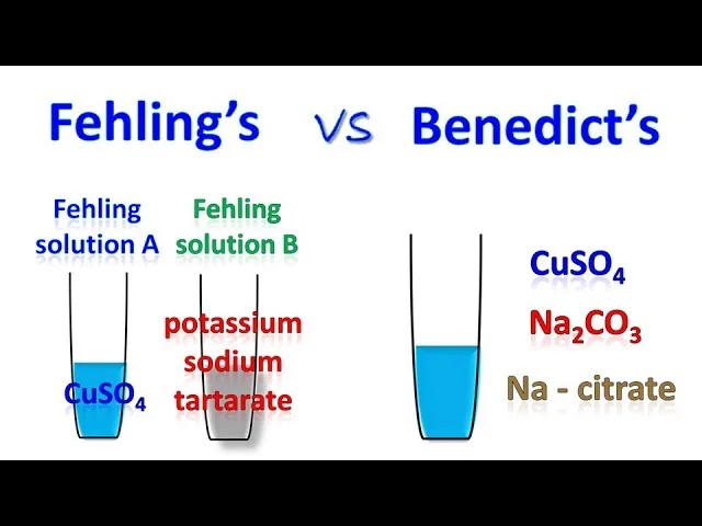 Diferencia entre la solución de Benedict y la de Fehling